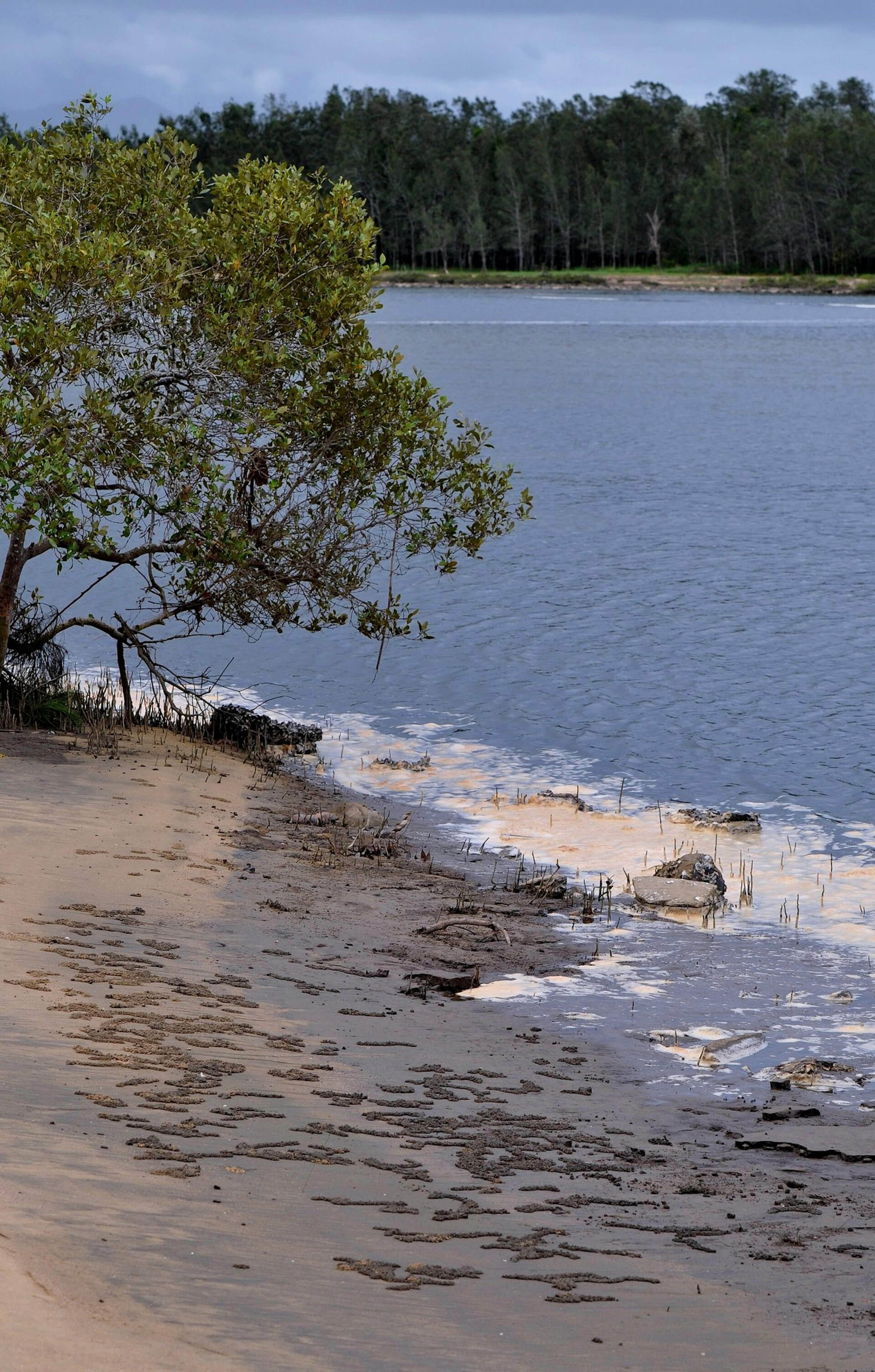 Urunga Heads Holiday Park in Urunga, NSW — photo 3