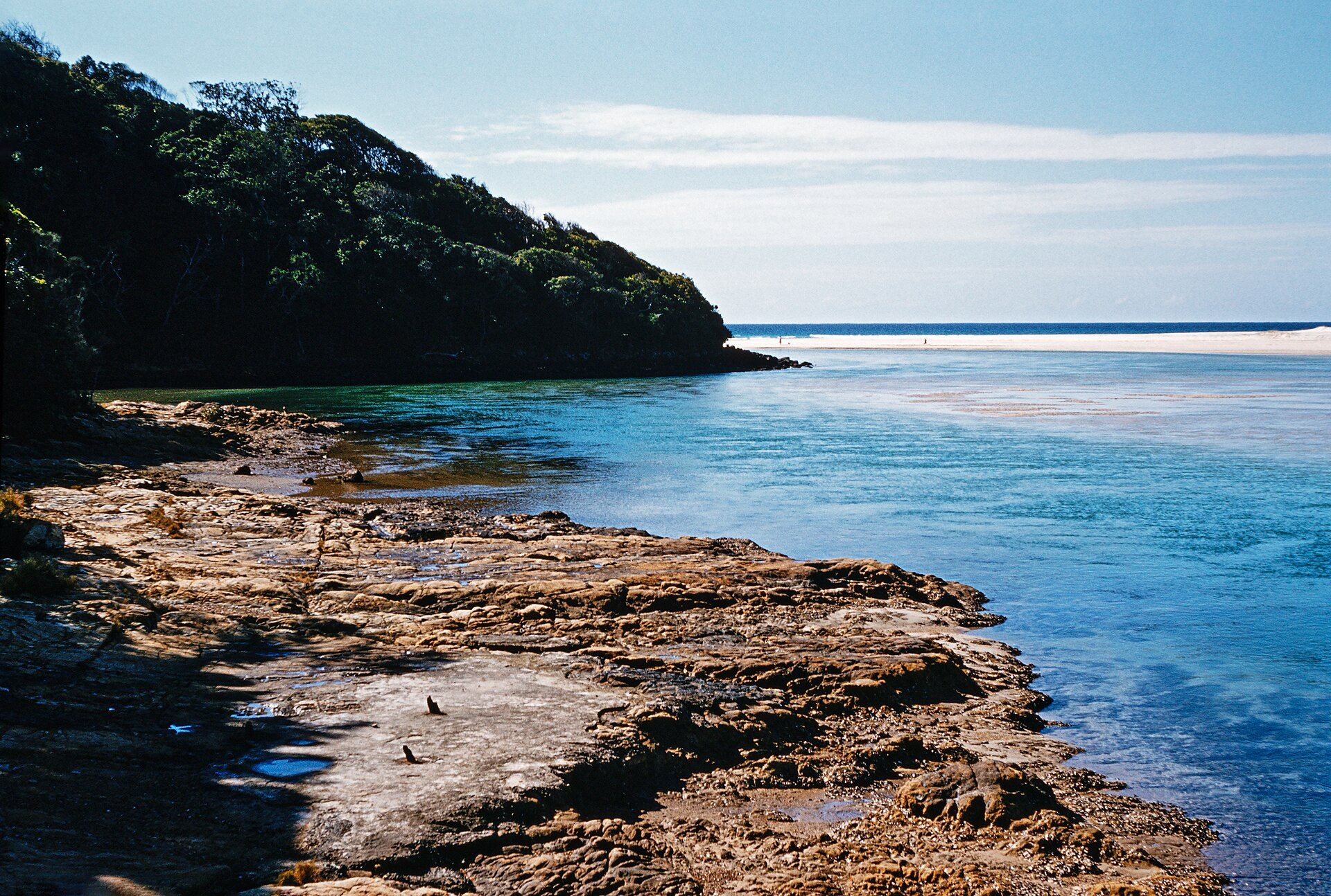 Tallebudgera Creek Tourist Park in Palm Beach, QLD — photo 2