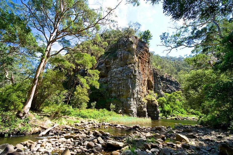 Cumberland River Holiday Park in Lorne, VIC — photo 5
