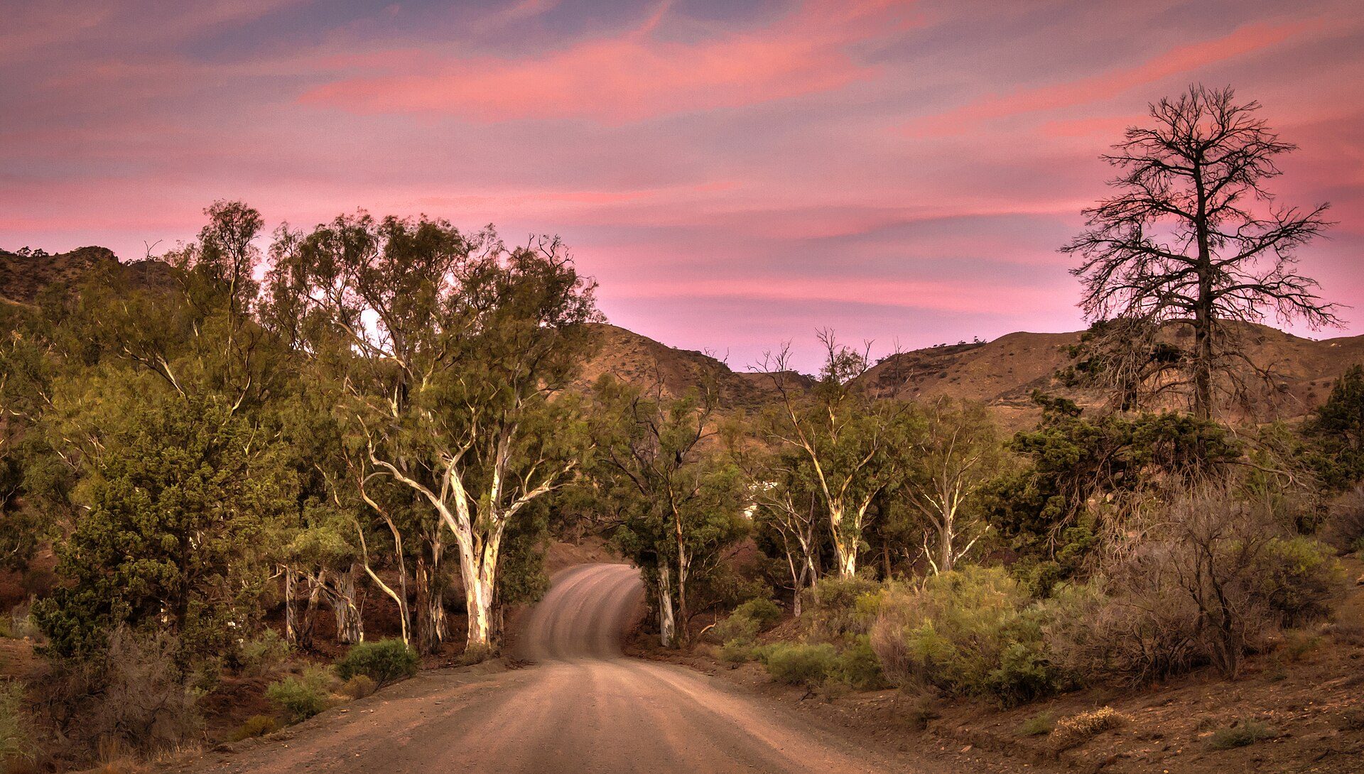 Parachilna Gorge — Parachilna, SA