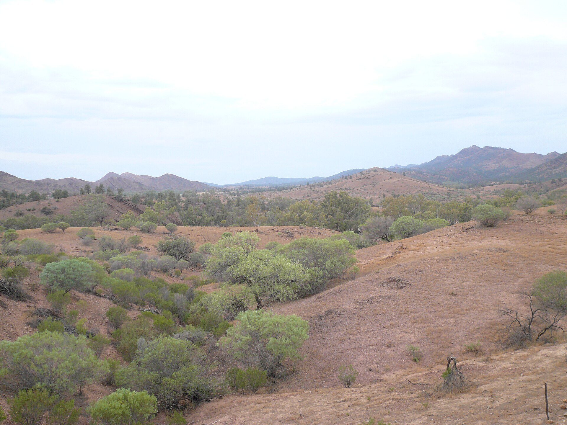 Parachilna Gorge in Parachilna, SA — photo 3