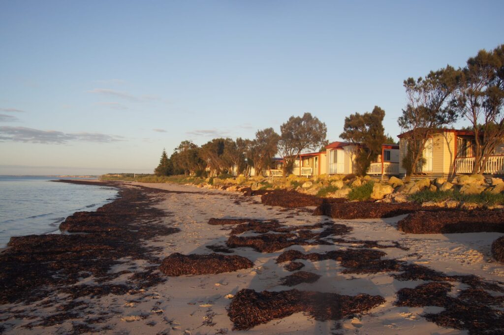 Port Vincent Foreshore Caravan Park in Port Vincent, SA — photo 2