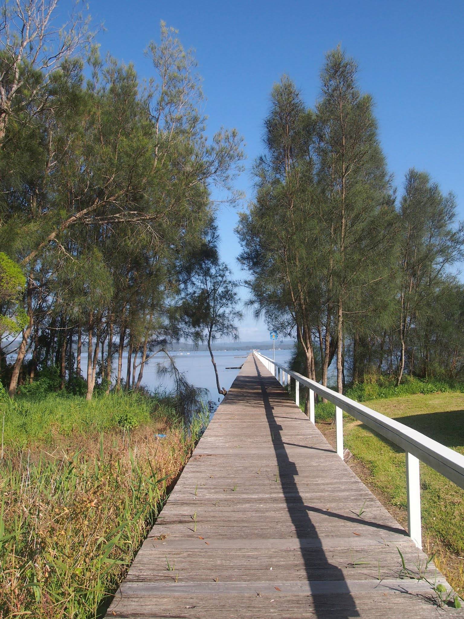 Toowoon Bay Holiday Park in Toowoon Bay, NSW — photo 3