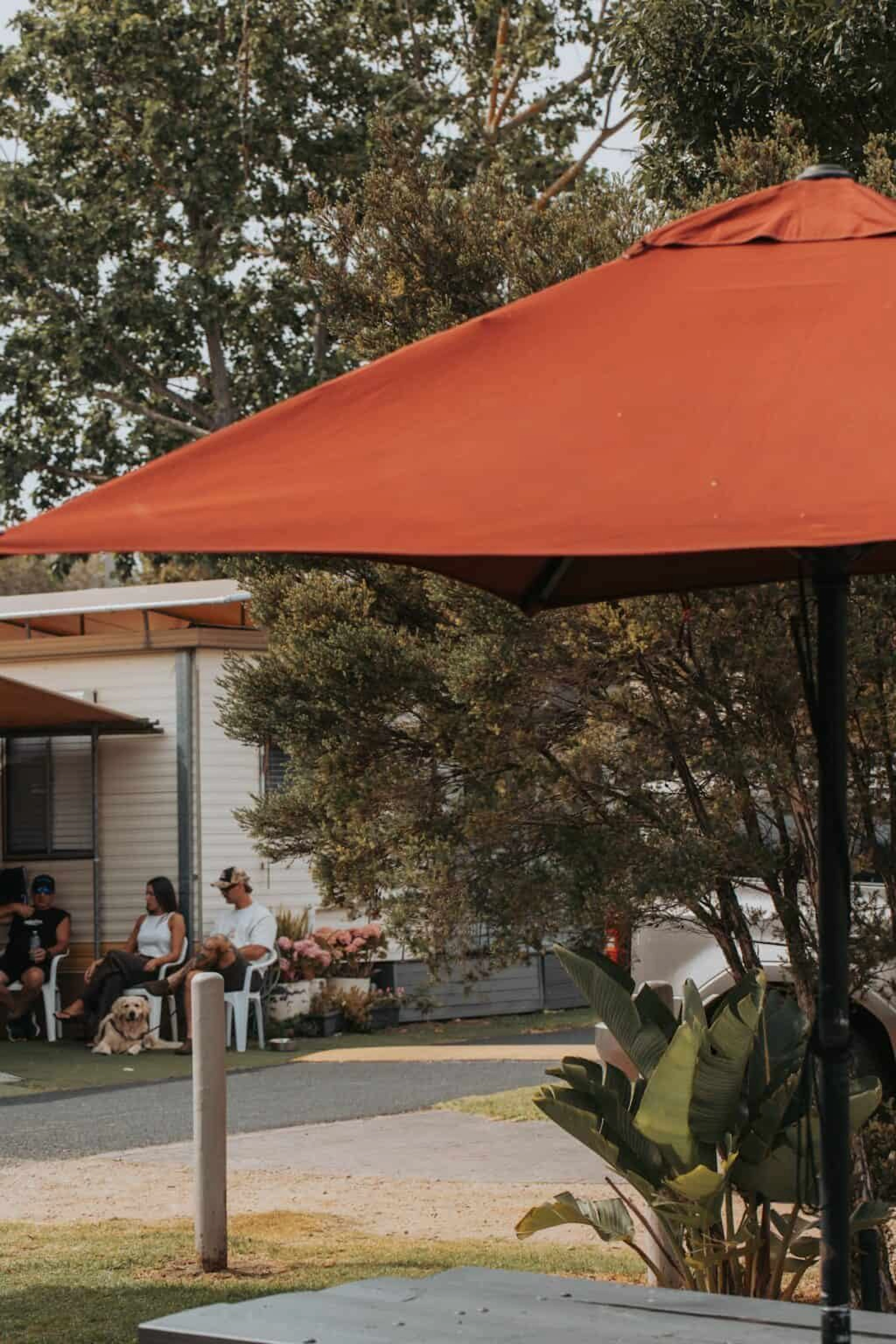 Peninsula Holiday Park in Dromana, VIC — photo 1