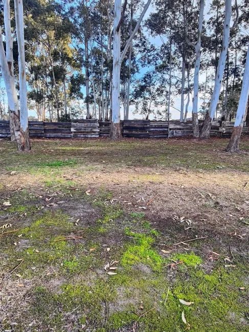 Kalgan River Caravan Park in Kalgan, WA — photo 2