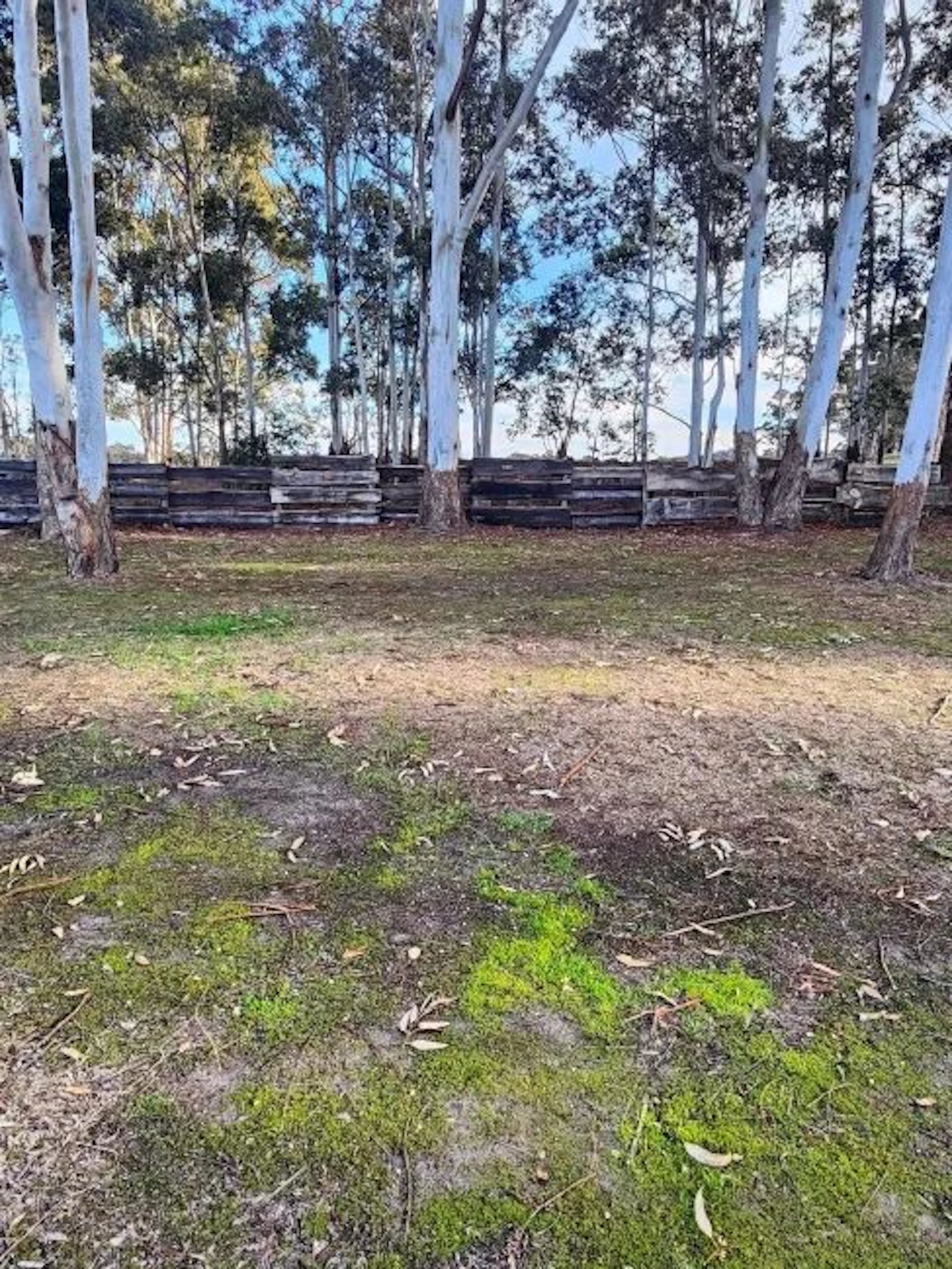 Kalgan River Caravan Park in Kalgan, WA — photo 2