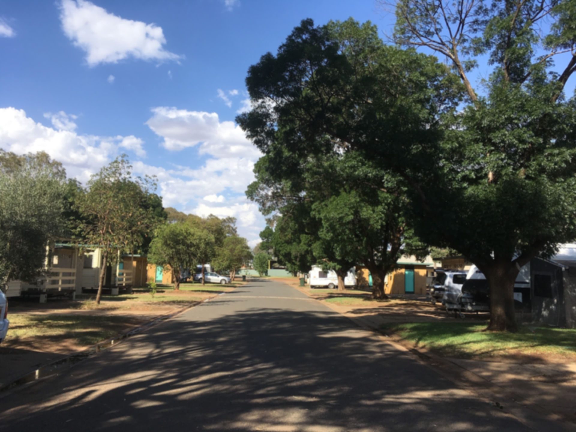 Griffith Tourist Caravan Park in Griffith, NSW — photo 3