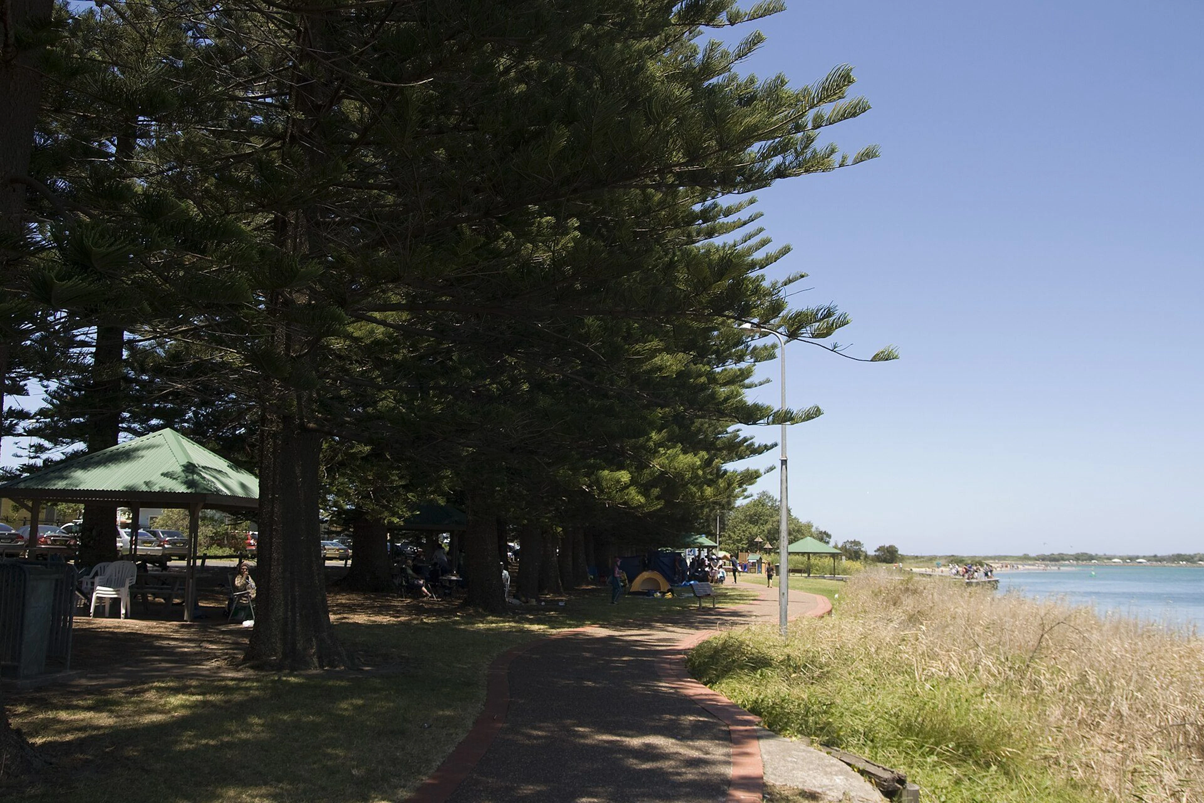 Windang Beach Tourist Park in Windang, NSW — photo 2