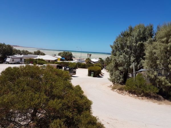 Blue Dolphin Caravan Park and Holiday Village — Denham, WA
