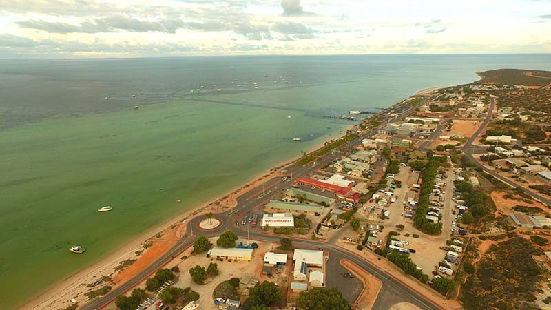 Blue Dolphin Caravan Park and Holiday Village — Denham, WA