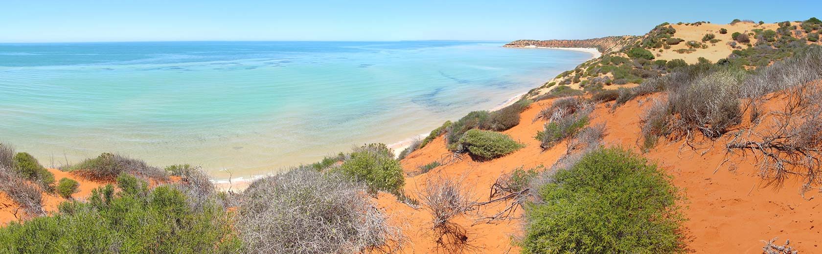 Blue Dolphin Caravan Park and Holiday Village in Denham, WA — photo 4