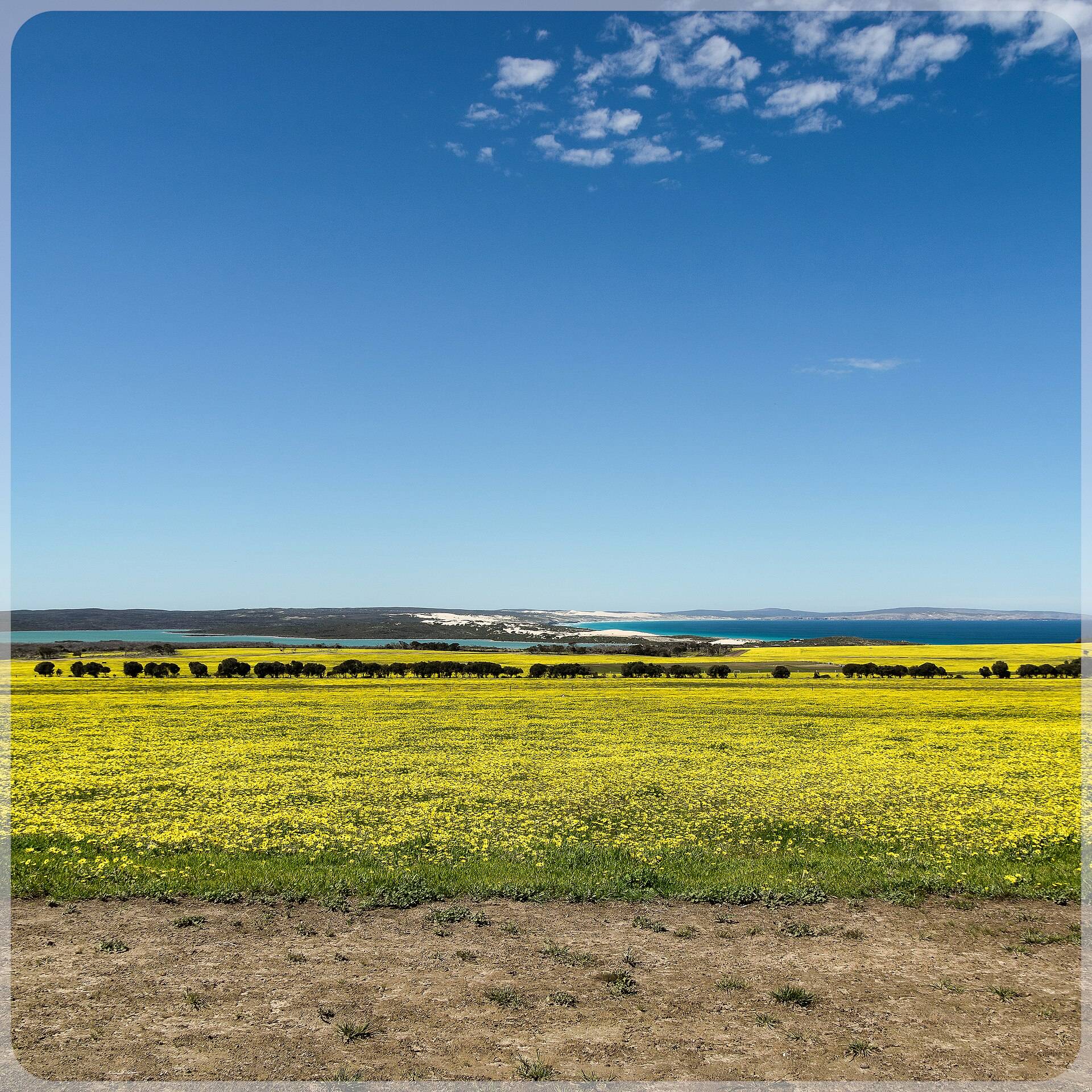 Mikkira Station Picnic and Camp Ground in Sleaford, SA — photo 1