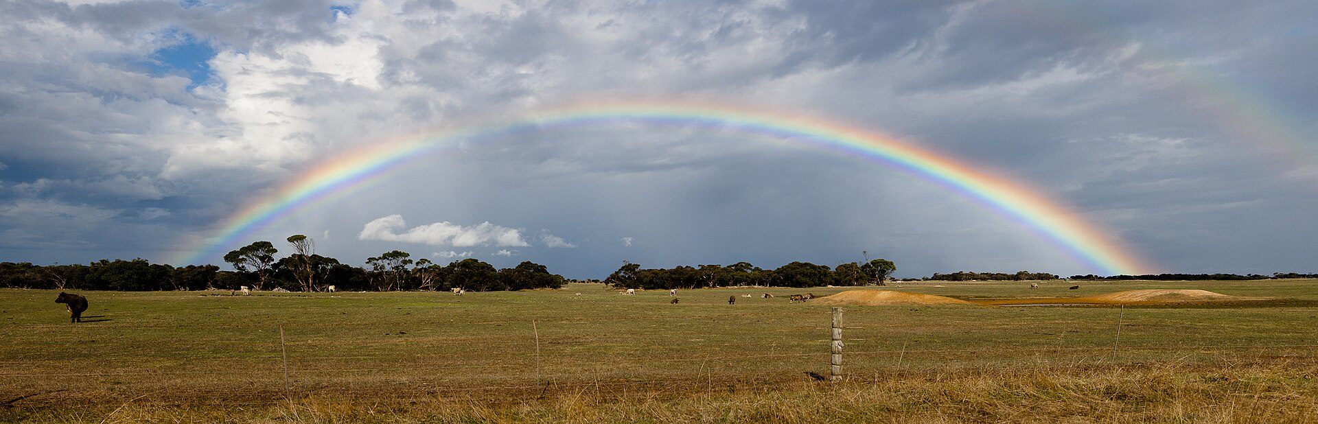 Mikkira Station Picnic and Camp Ground — Sleaford, SA