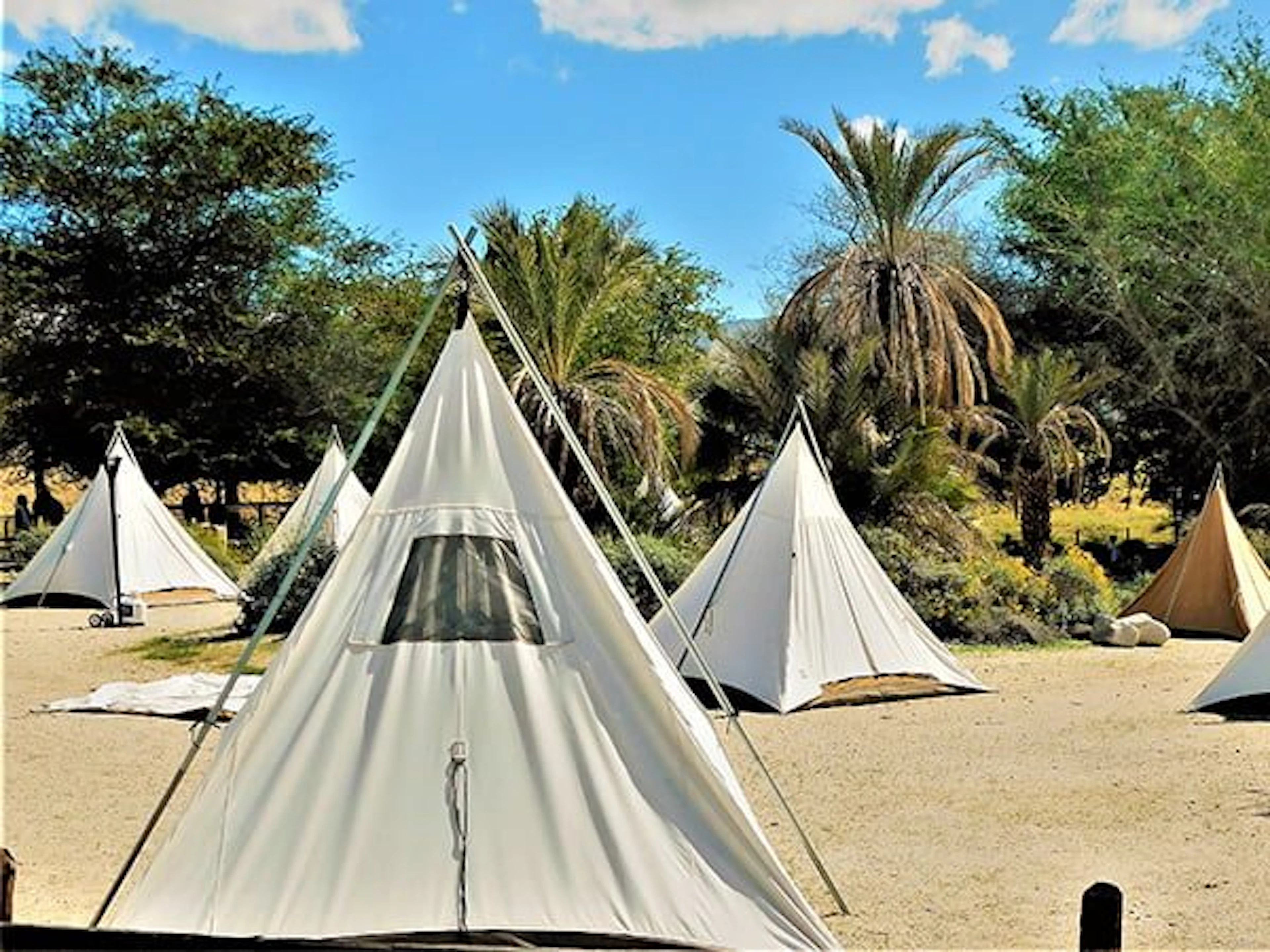 Second Valley Caravan Park in Second Valley, SA — photo 5