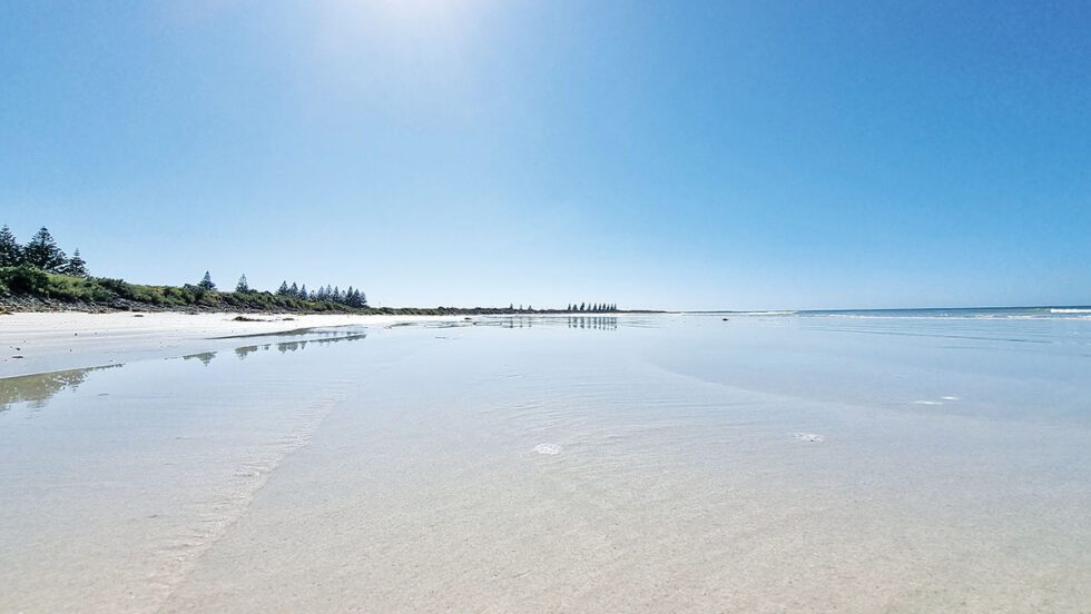 Port MacDonnell Foreshore Tourist Park in Port MacDonnell, SA — photo 1