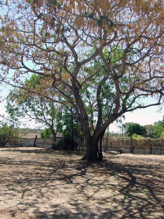 Normanton Tourist Park — Normanton, QLD