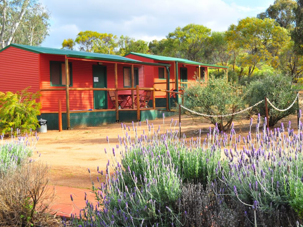 Toodyay Caravan Park — Toodyay, WA