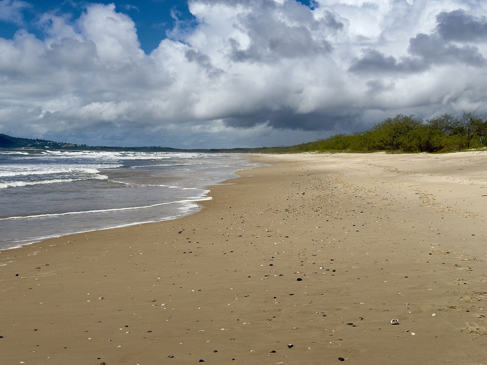 Noosa North Shore Beach Campground in Noosa North Shore, QLD — photo 1