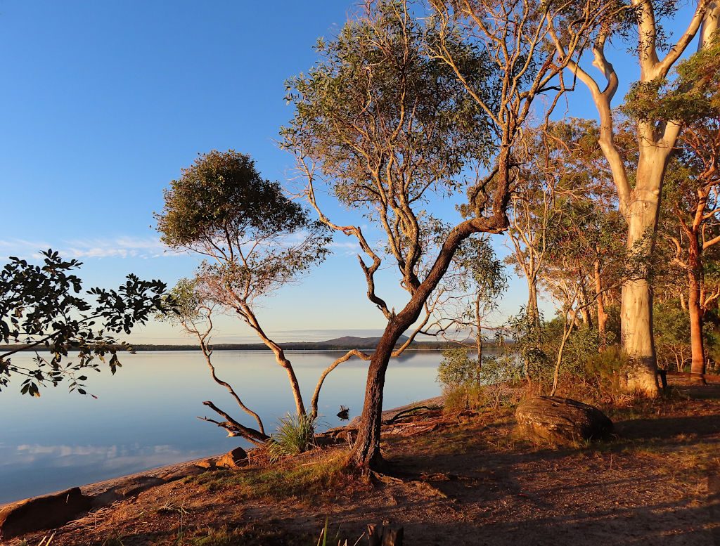 Boreen Point Campground — Boreen Point, QLD