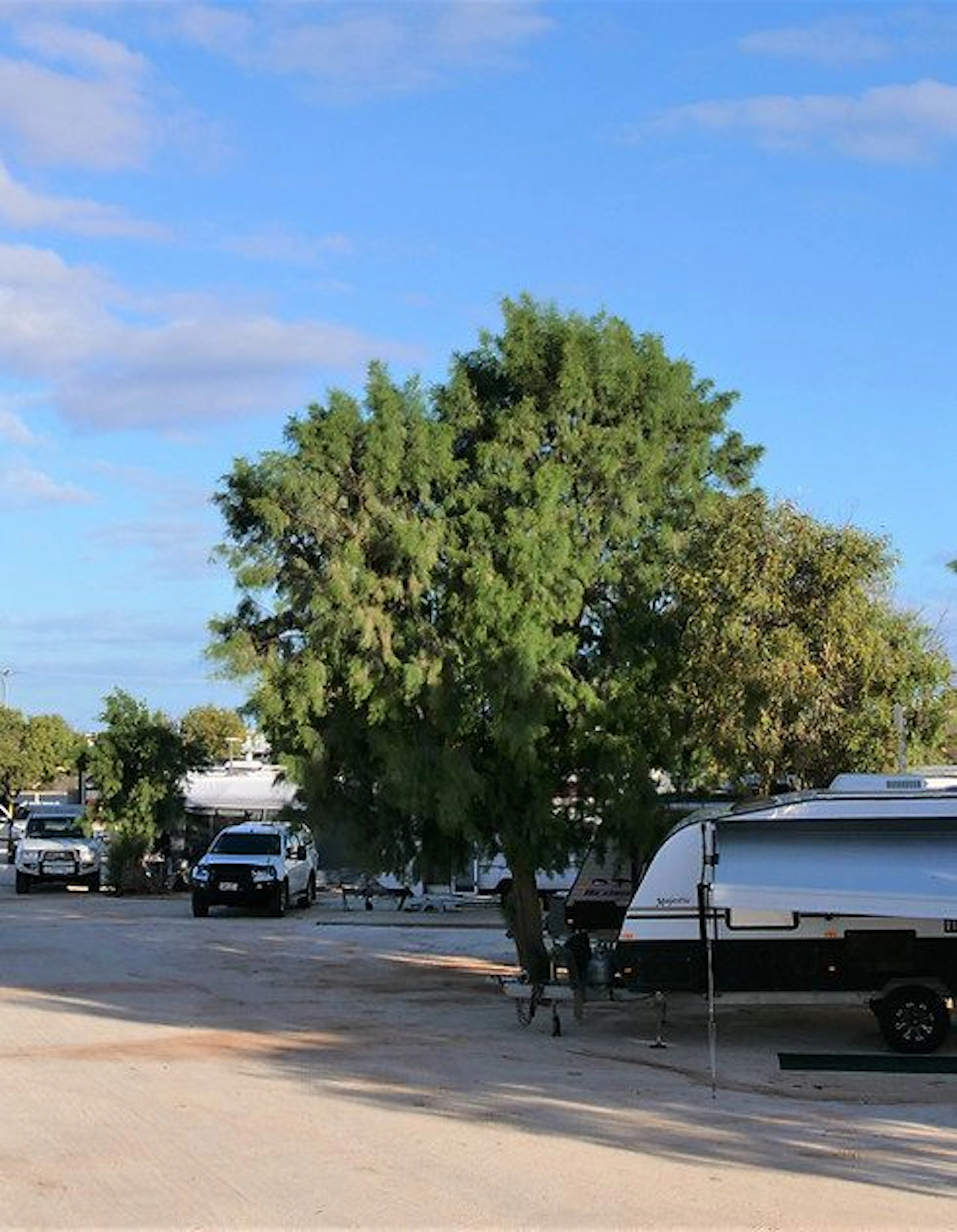 Shark Bay Caravan Park in Denham, WA — photo 1