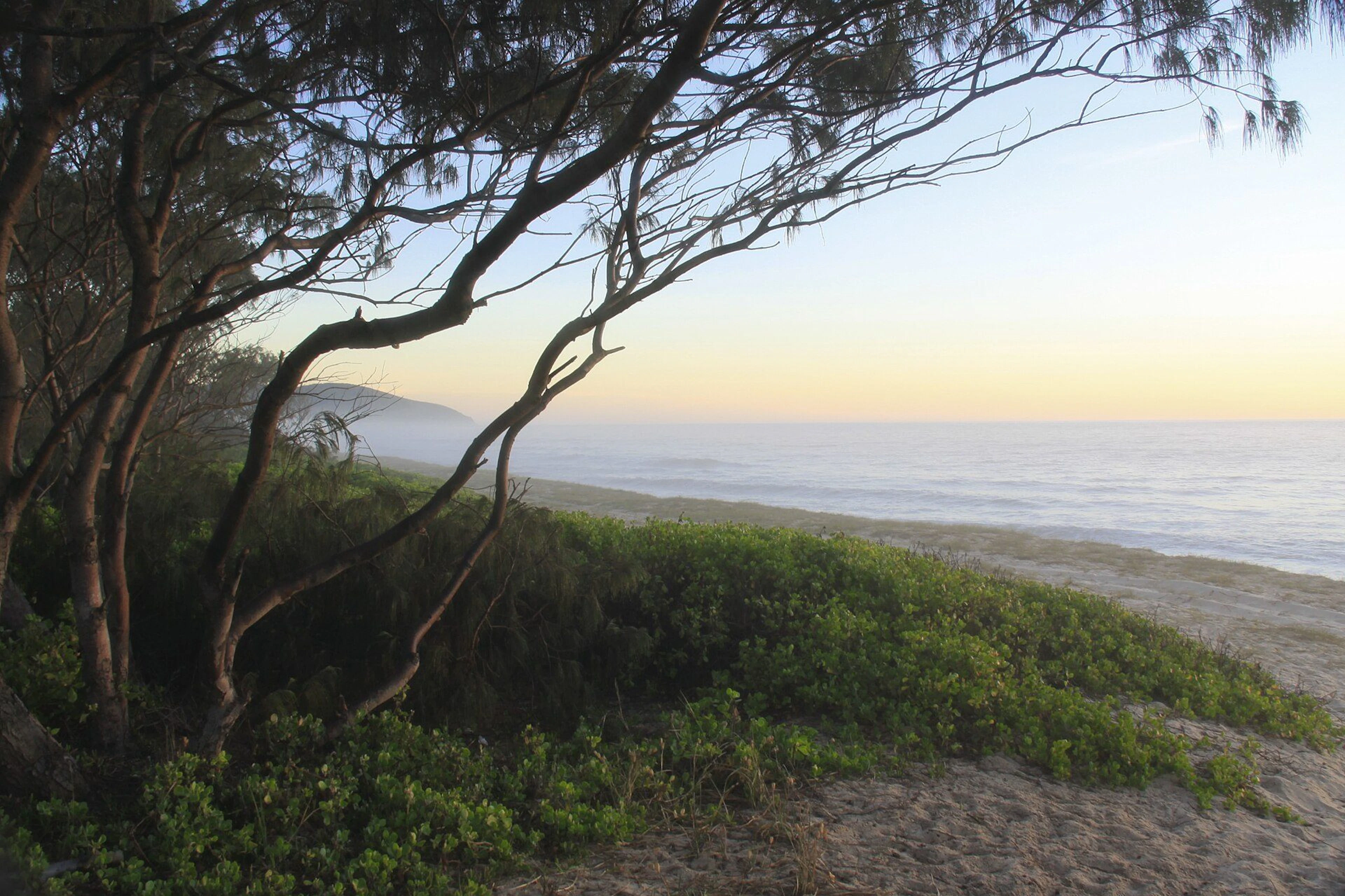 Camp Elim in Forster, NSW — photo 1