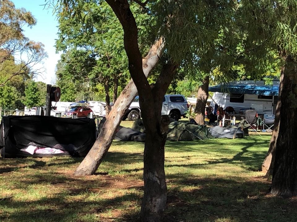 Lake Talbot Tourist Park in Narrandera, NSW — photo 1