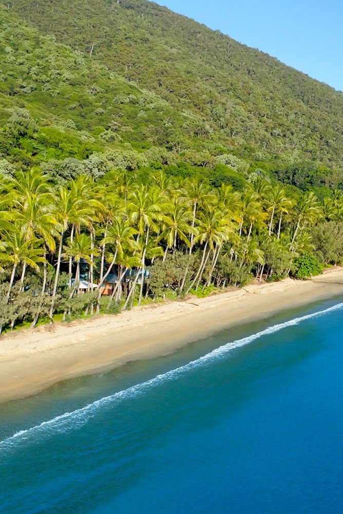 Ellis Beach Oceanfront Bungalows in Ellis Beach, QLD — photo 5