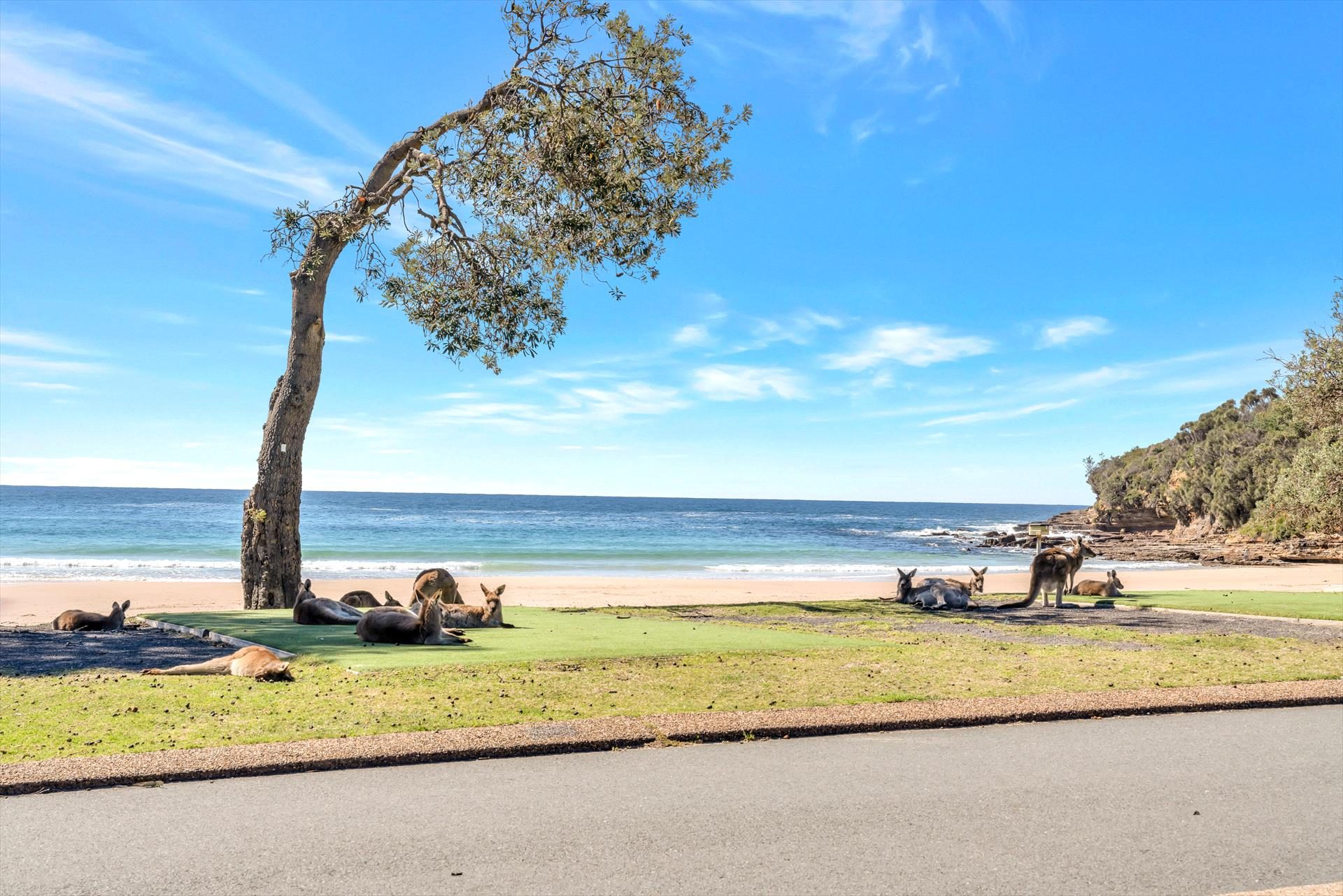 Merry Beach Caravan Resort — Kioloa, NSW