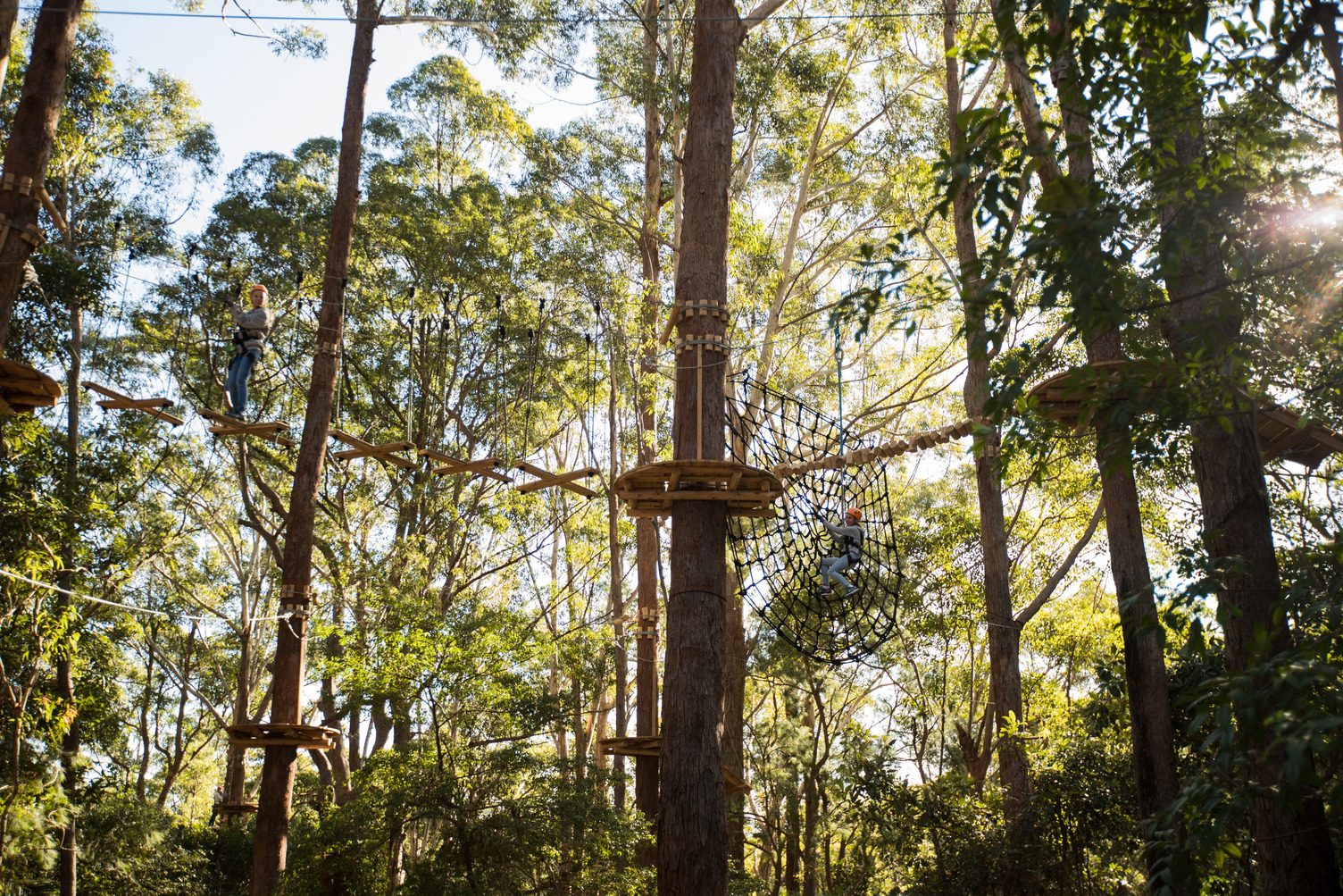 Reflections Holiday Park – Coffs Harbour in Coffs Harbour, NSW — photo 3