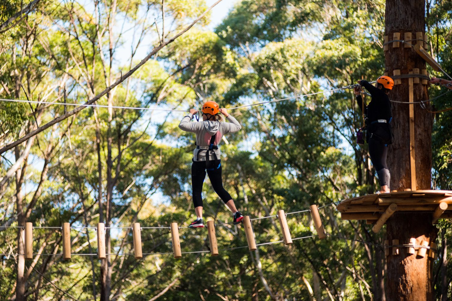 Reflections Holiday Park – Coffs Harbour in Coffs Harbour, NSW — photo 1