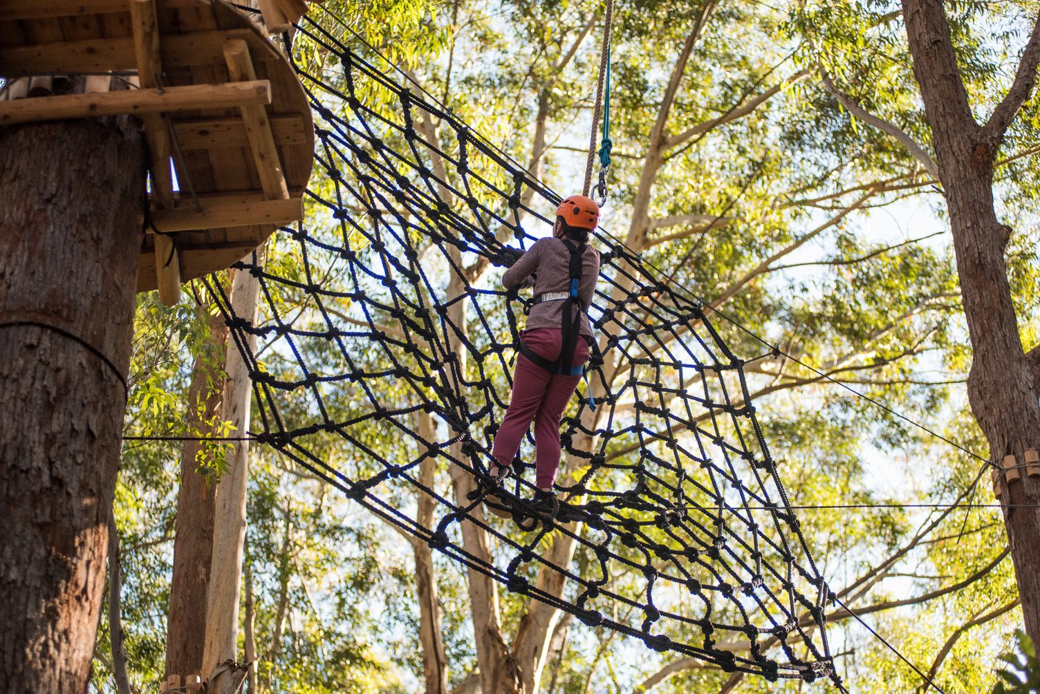 Reflections Holiday Park – Coffs Harbour in Coffs Harbour, NSW — photo 4