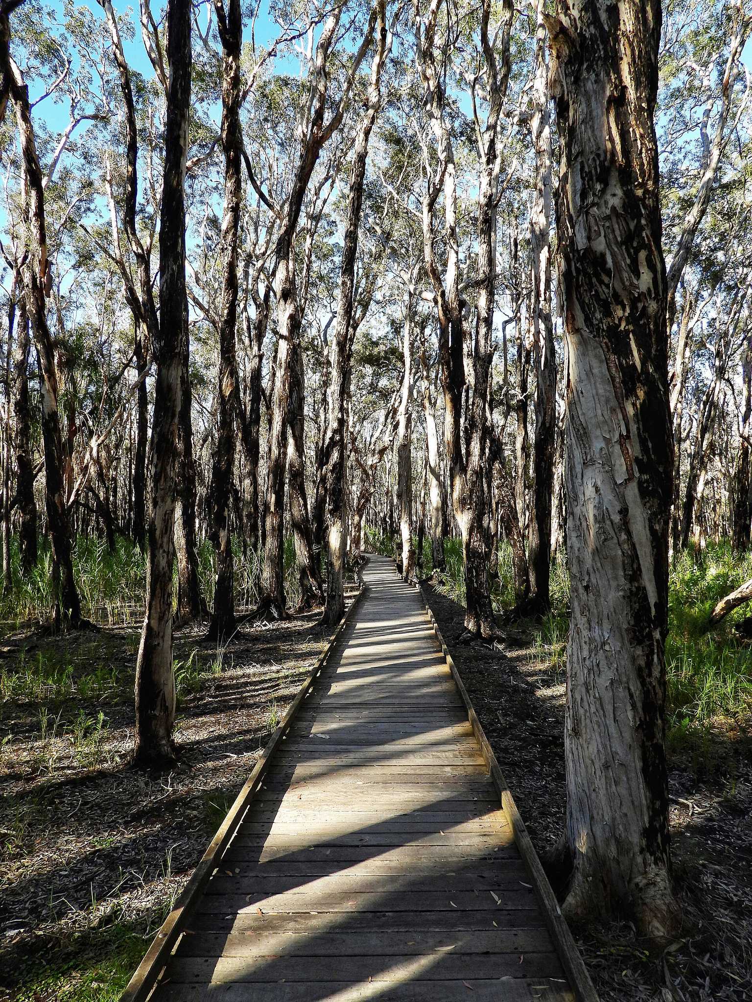 Woodgate Beach Tourist Park — Woodgate, QLD