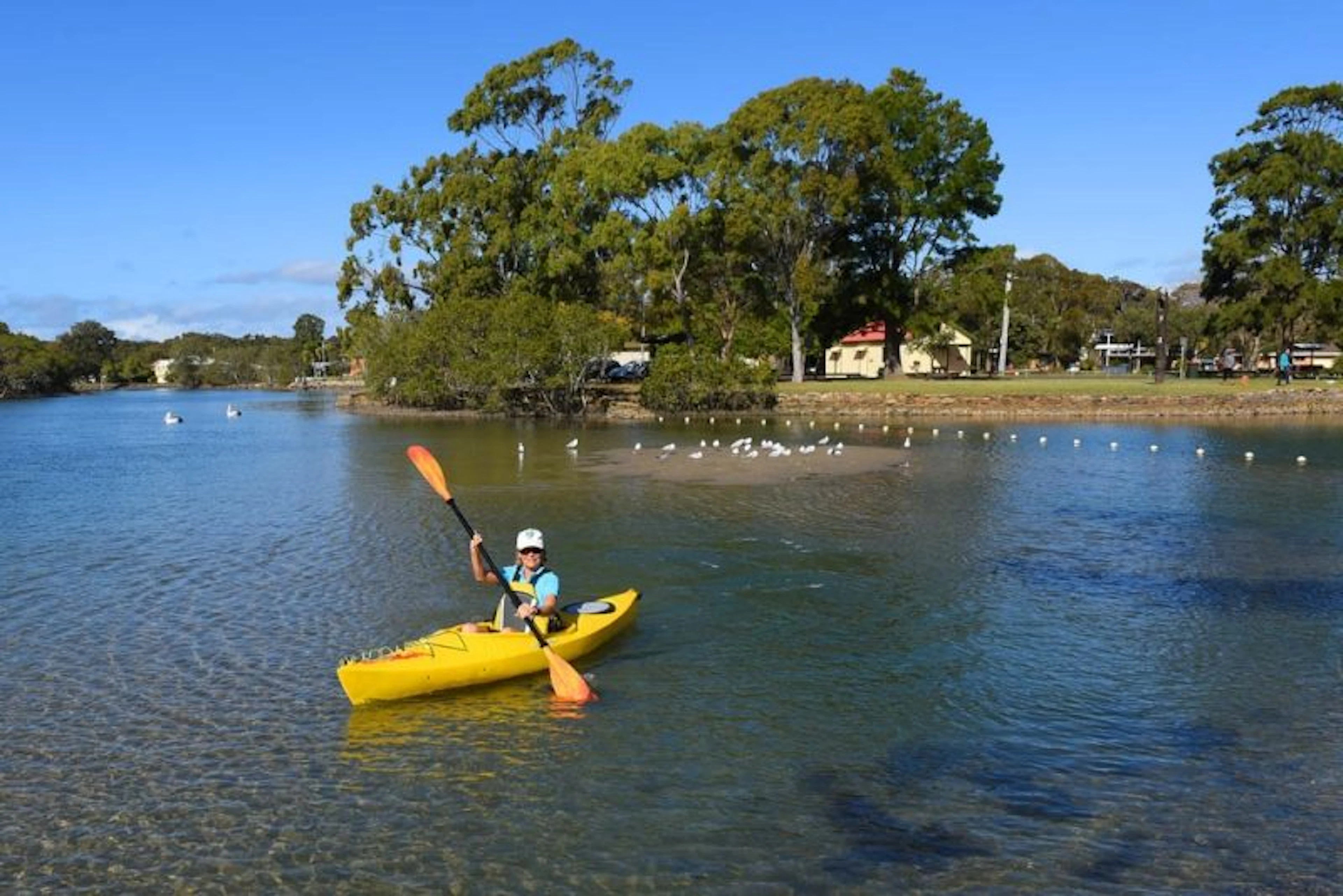 Dunbogan Caravan Park in Dunbogan, NSW — photo 2