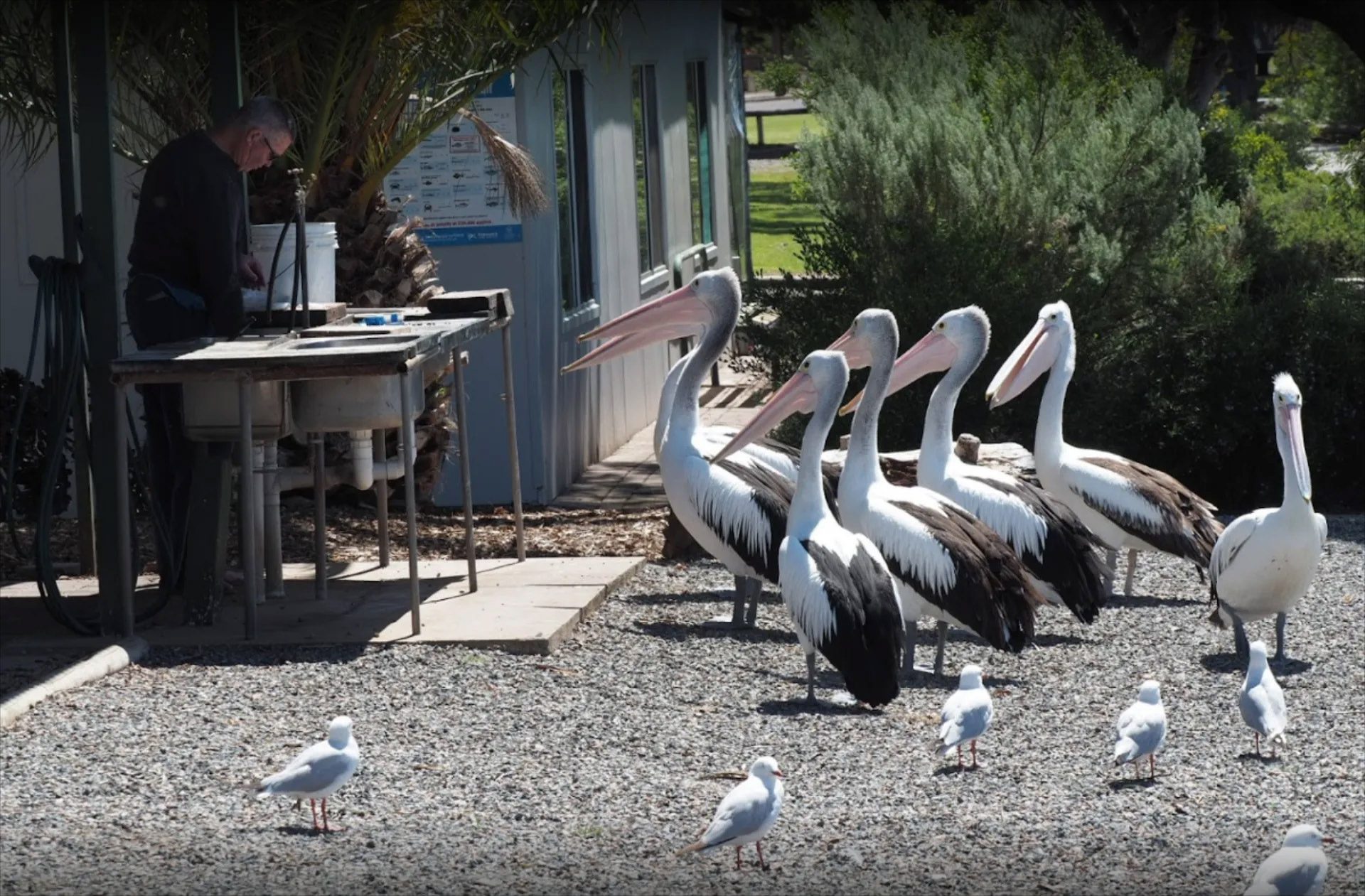 Tumby Bay Caravan Park in Tumby Bay, SA — photo 5