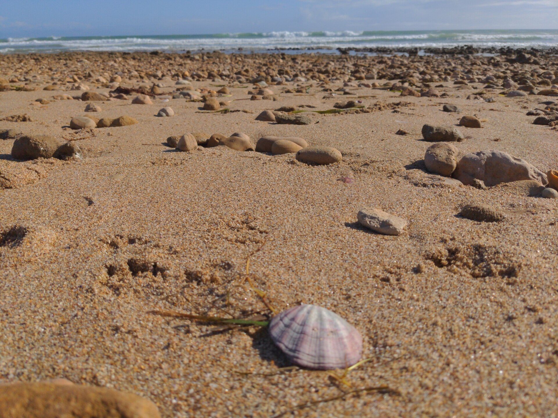Moana Beach Tourist Park — Moana, SA