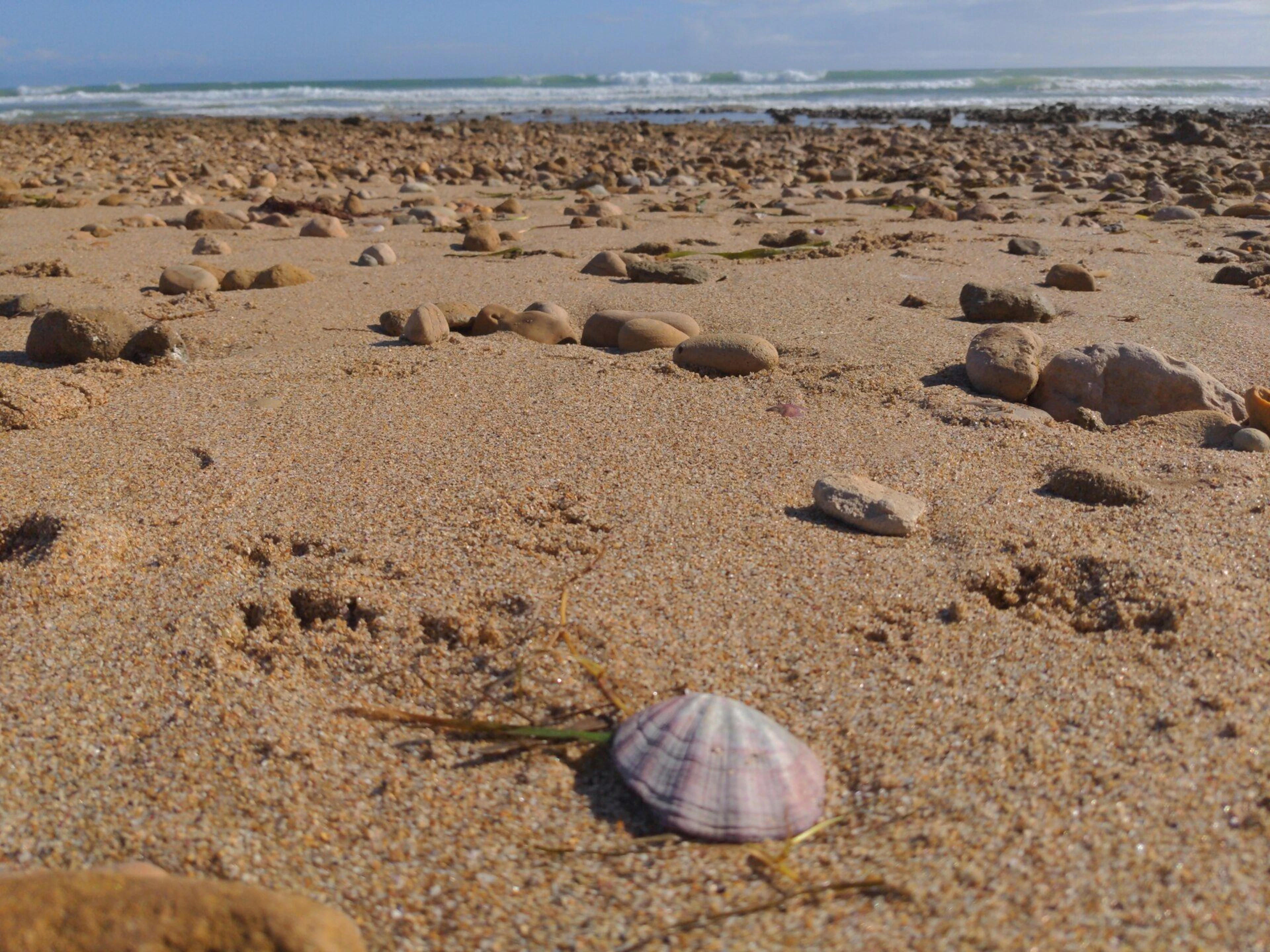 Moana Beach Tourist Park in Moana, SA — photo 2