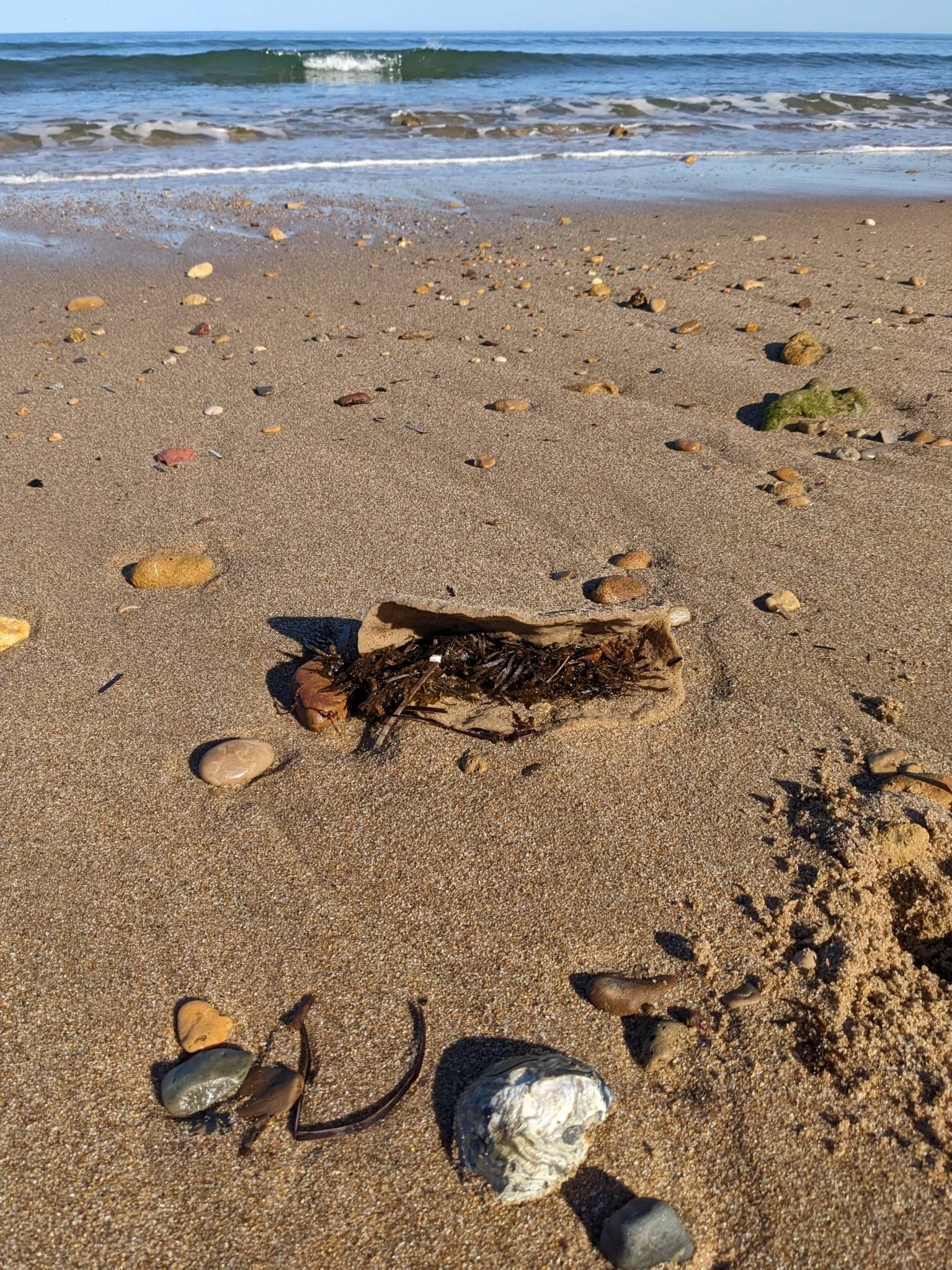 Moana Beach Tourist Park in Moana, SA — photo 1