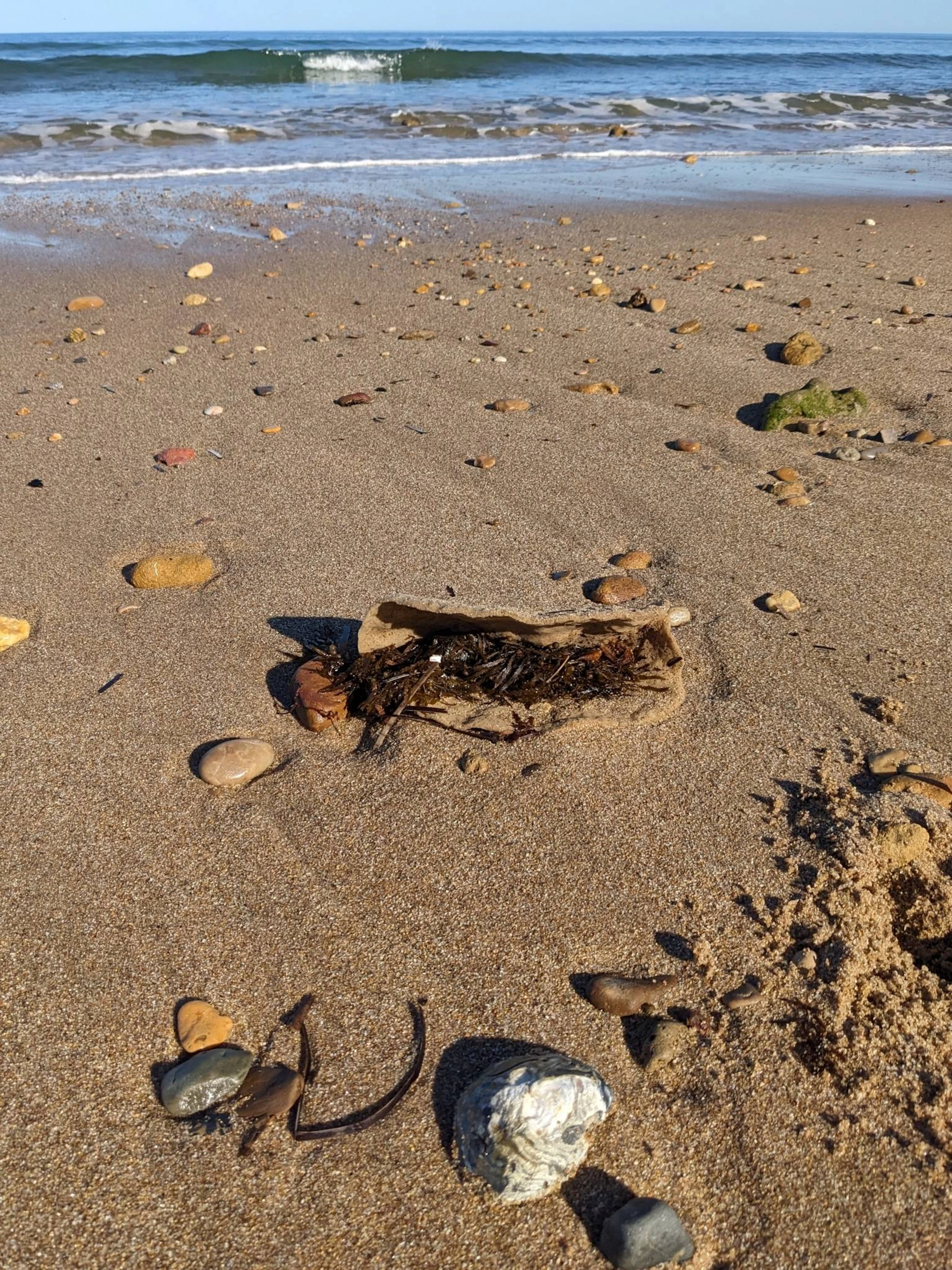 Moana Beach Tourist Park in Moana, SA — photo 1