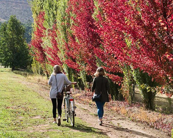 NRMA Bright Holiday Park in Bright, VIC — photo 4