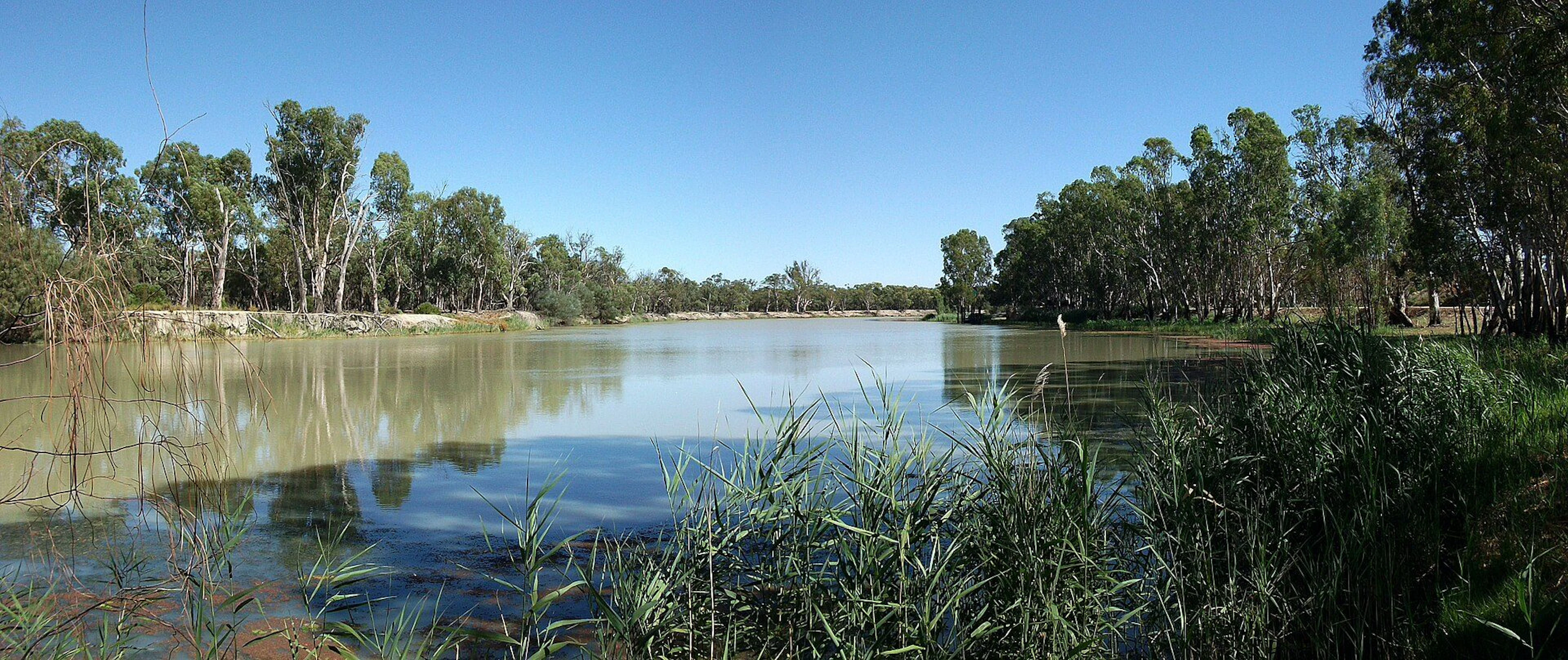 Loxton Riverfront Caravan Park in Loxton, SA — photo 3