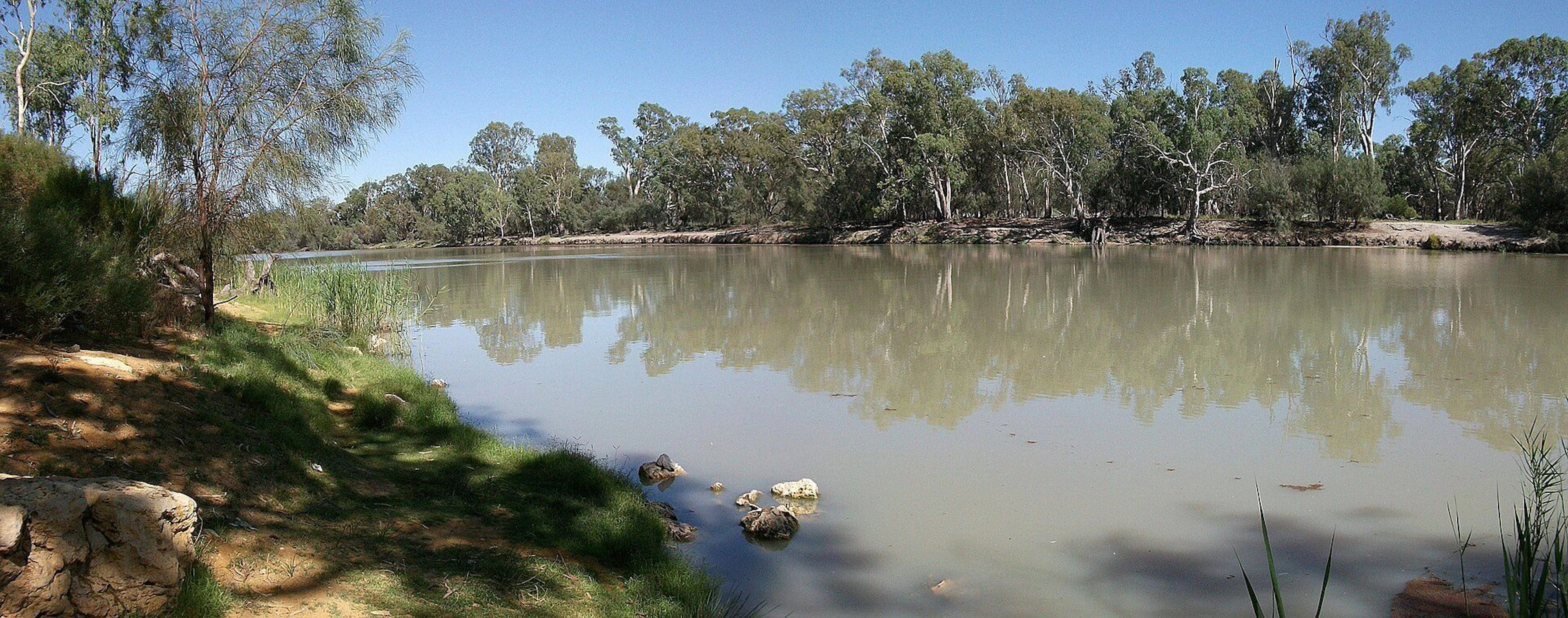 Loxton Riverfront Caravan Park in Loxton, SA — photo 1
