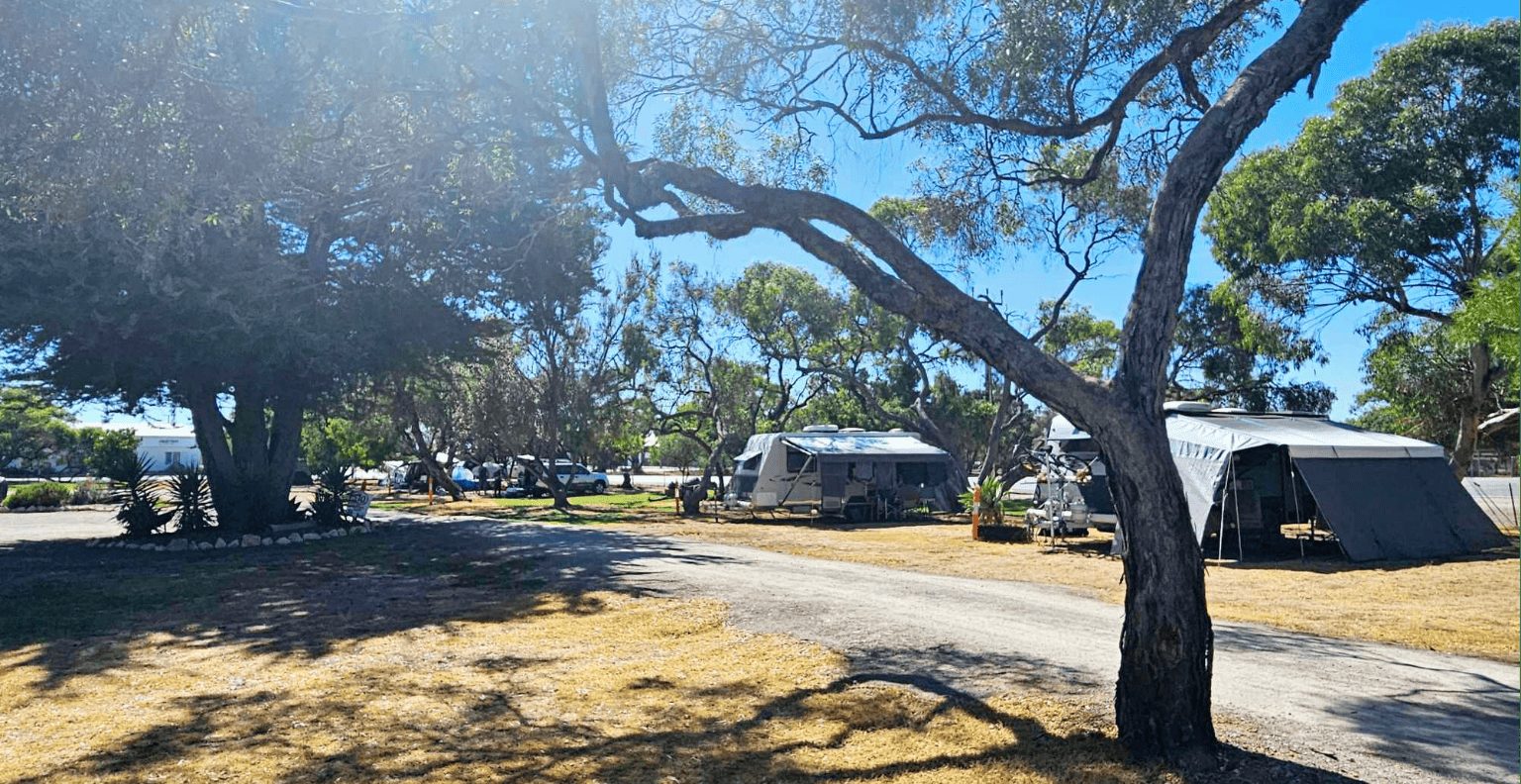Minlaton Cabin and Caravan Park — Minlaton, SA