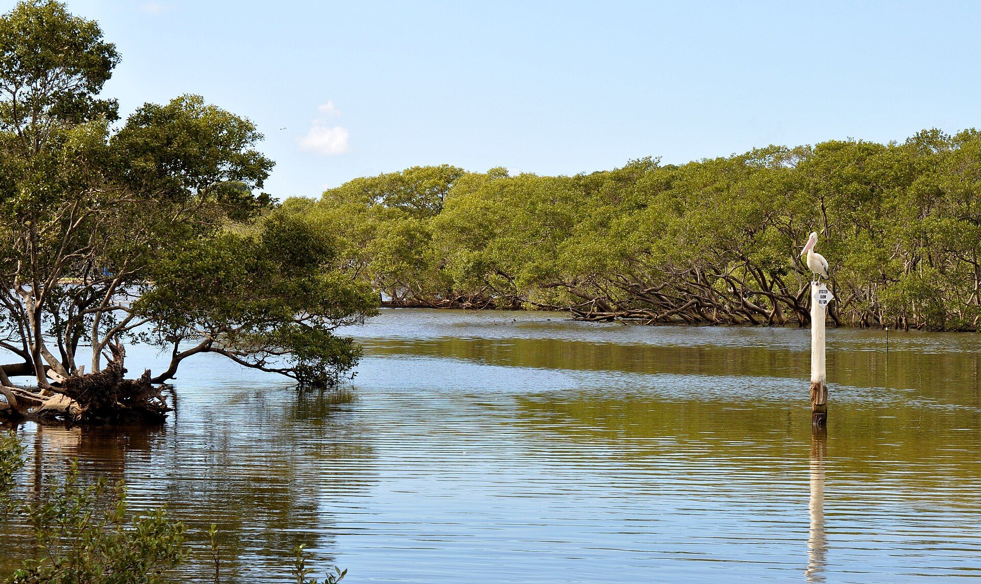 Bruce Porter Reserve in Laurieton, NSW — photo 2