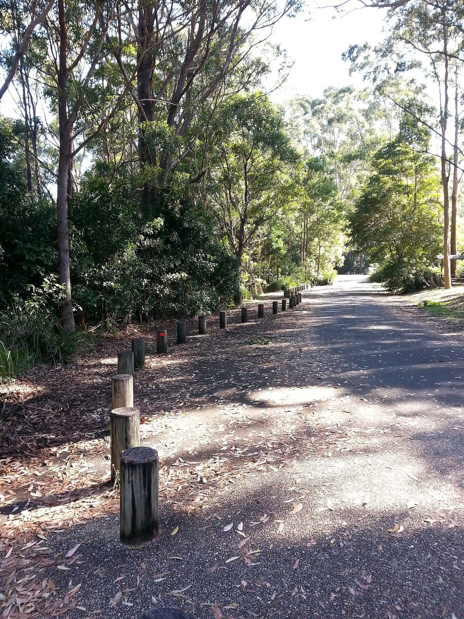 Bruce Porter Reserve in Laurieton, NSW — photo 1