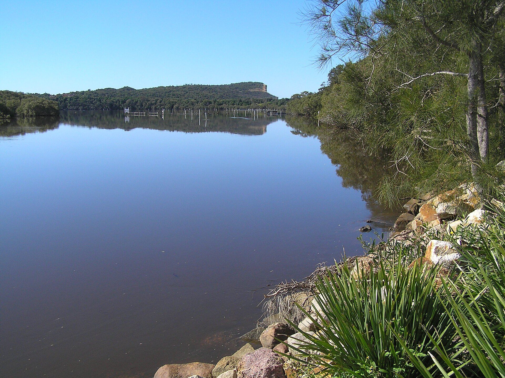 Diamond Head Road Reserve Dunbogan in Dunbogan, NSW — photo 1