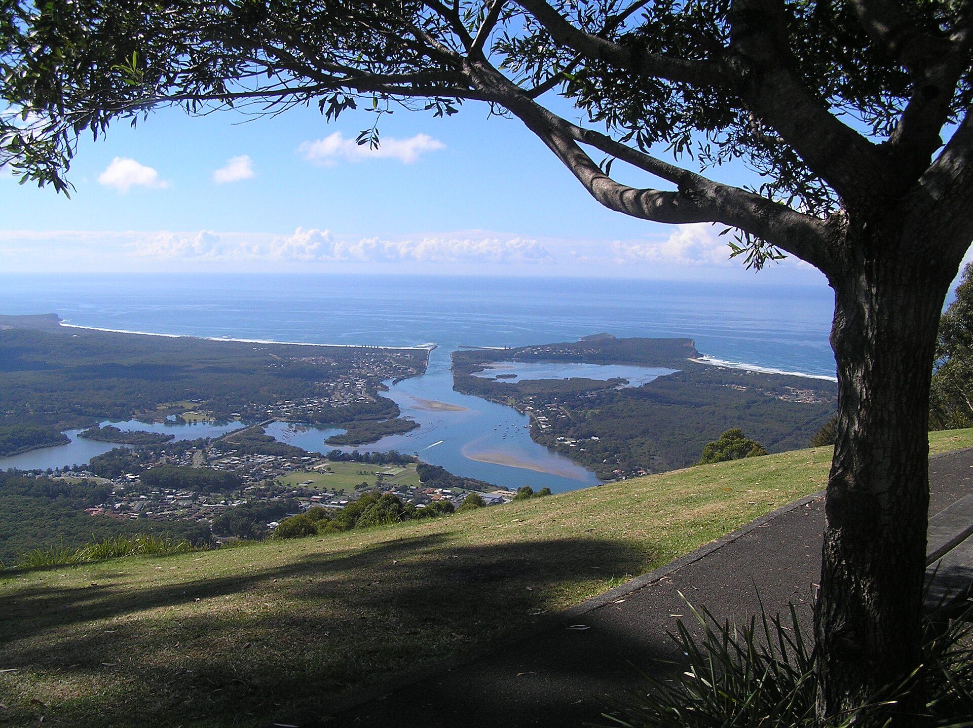 North Brother Lookout in North Brother, NSW — photo 2