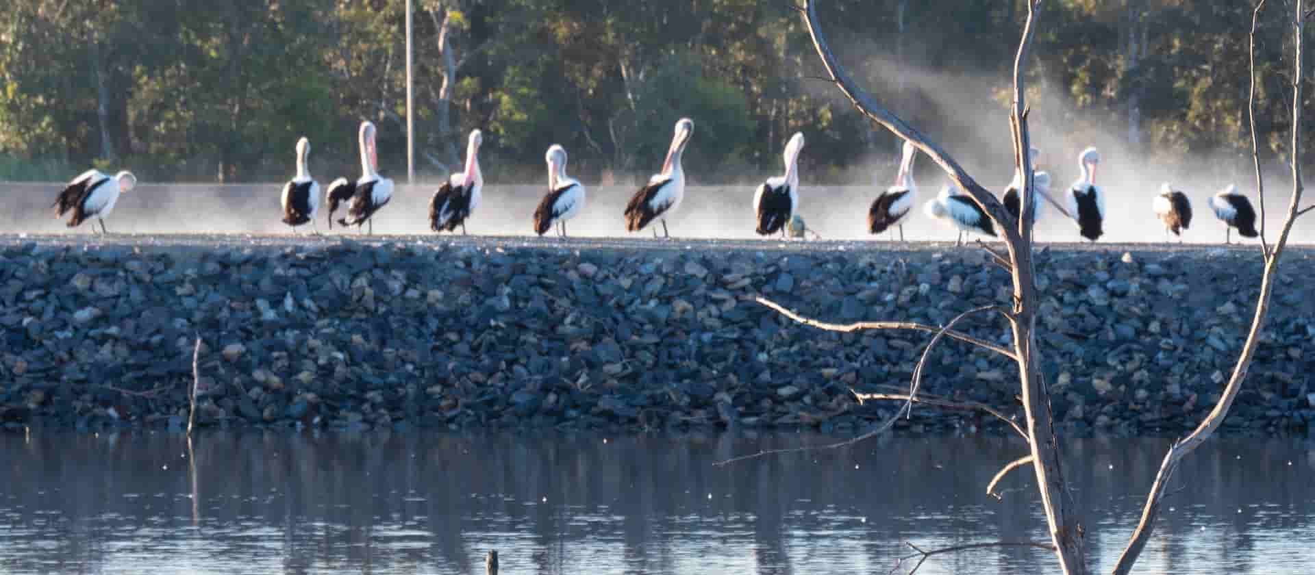 Murray Bridge Resort Caravan Park and Marina — Murray Bridge, SA