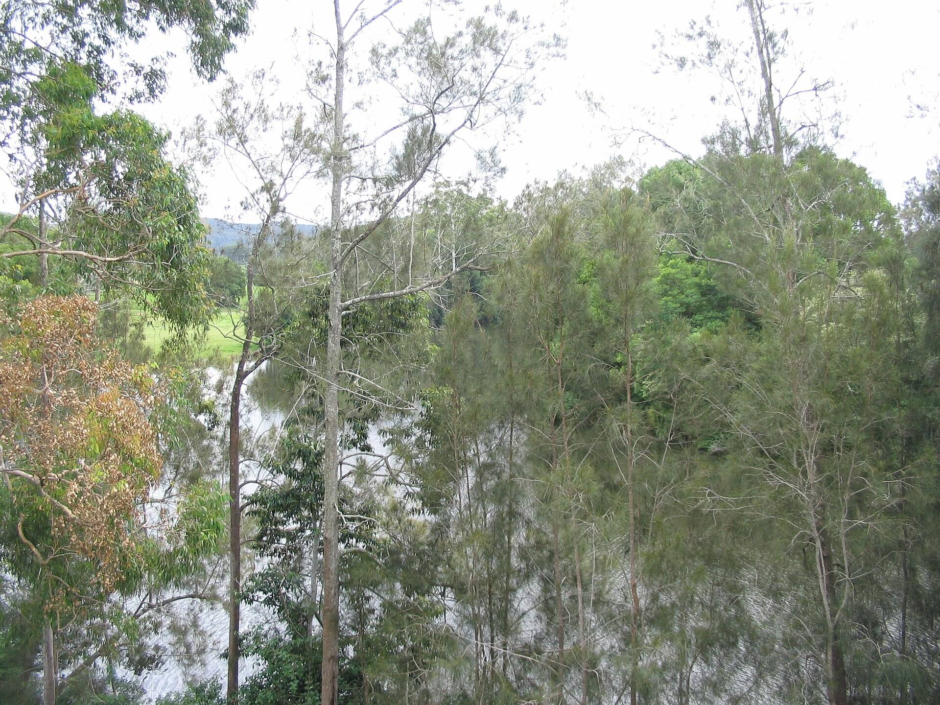 Kendall Wharf Reserve in Kendall, NSW — photo 1
