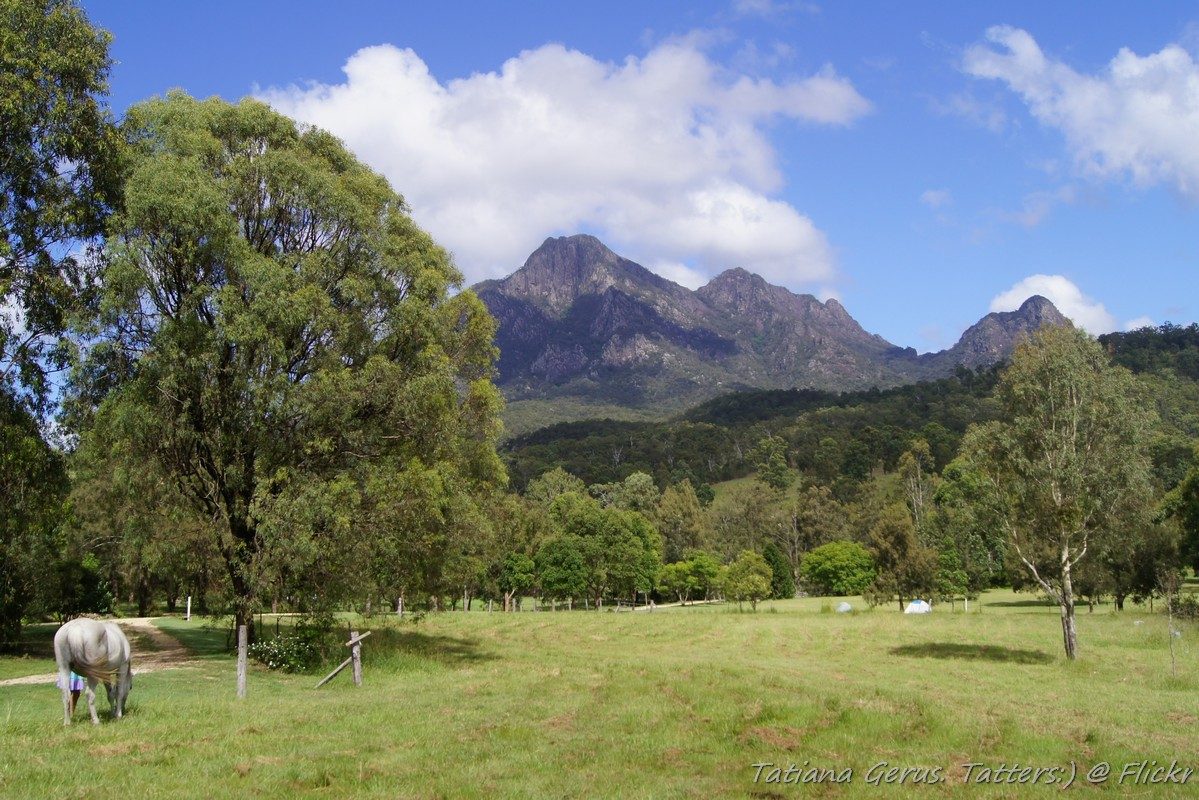 Yellow Pinch Reserve in Mount Barney, QLD — photo 2