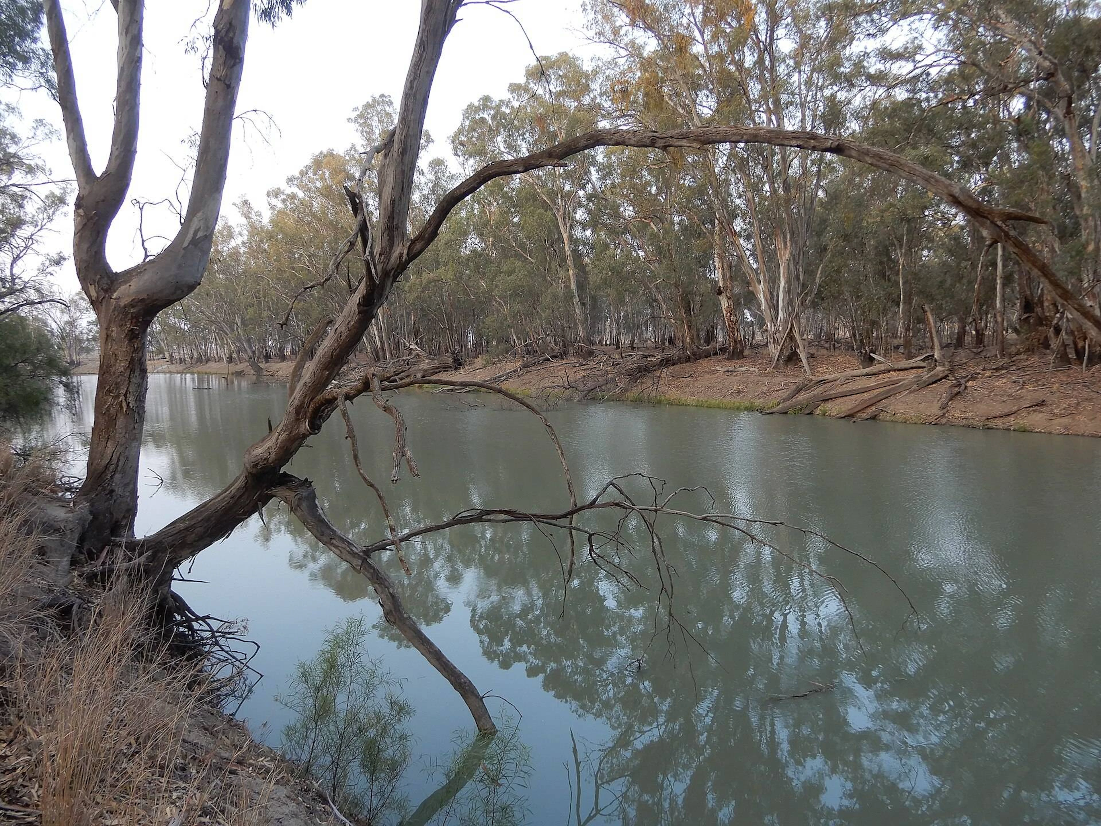 Mamanga Campground in Balranald, NSW — photo 2